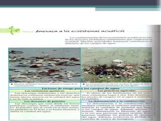 Ecosistemas de Puerton Rico