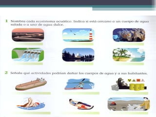 Ecosistemas de Puerton Rico