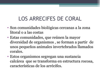LOS ARRECIFES DE CORAL
• Son comunidades biológicas cercanas a la zona
  litoral o a las costas
• Estas comunidades, que reúnen la mayor
  diversidad de organismos , se forman a partir de
  unos pequeños animales invertebrados llamados
  corales.
• Estos organismos segregan una sustancia
  calcárea que se transforma en estructura rocosa,
  características de los arrécifes.
 