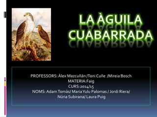 PROFESSORS: Àlex Mazcuñán /Toni Cuñe /Mireia Bosch 
MATERIA:Faig 
CURS:2014/15 
NOMS: Adam Tomàs/ Maria Yulu Palomas / Jordi Riera/ 
Núria Subirana/ Laura Puig 
 