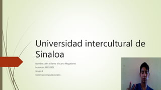 Universidad intercultural de
Sinaloa
Nombre. Alex Valente Vizcarra Magallanes
Matricula.16010302
Grupo.1
Sistemas computacionales .
 
