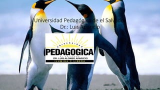 Universidad Pedagógica de el Salvador
Dr.: Luis Aparicio
 
