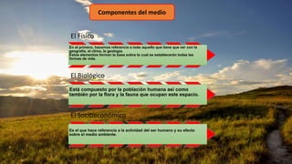Componentes del medio
El Físico
En el primero, hacemos referencia a todo aquello que tiene que ver con la
geografía, el clima, la geología.
Estos elementos forman la base sobre la cual se establecerán todas las
formas de vida.
El Biológico
Está compuesto por la población humana así como
también por la flora y la fauna que ocupan este espacio.
El Socioeconómico
Es el que hace referencia a la actividad del ser humano y su efecto
sobre el medio ambiente.
 
