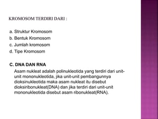 a. Struktur Kromosom
b. Bentuk Kromosom
c. Jumlah kromosom
d. Tipe Kromosom
C. DNA DAN RNA
Asam nukleat adalah polinukleotida yang terdiri dari unit-
unit mononukleotida, jika unit-unit pembangunnya
dioksinukleotida maka asam nukleat itu disebut
dioksiribonukleat(DNA) dan jika terdiri dari unit-unit
mononukleotida disebut asam ribonukleat(RNA).
 