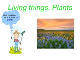 Living things. Plants
Hello children!
This is a world of
plants
 