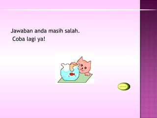 Jawaban anda masih salah.
 Coba lagi ya!
 