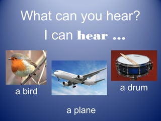 What can you hear?
   I can hear …



a bird             a drum

         a plane
 