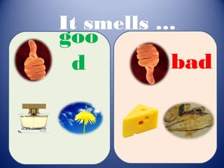 It smells …
goo
 d        bad
 