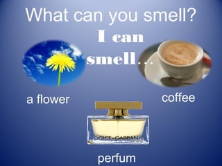 What can you smell?
       I can
      smell…

a flower            coffee



           perfum
 
