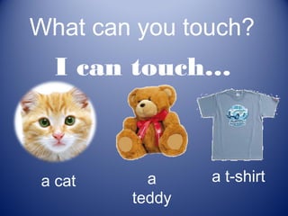 What can you touch?
  I can touch…



a cat     a     a t-shirt
        teddy
 