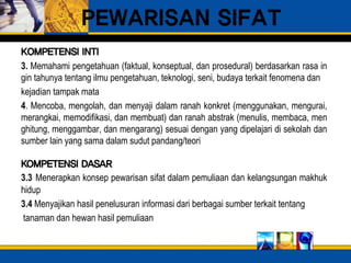 PEWARISAN SIFAT
KOMPETENSI INTI
3. Memahami pengetahuan (faktual, konseptual, dan prosedural) berdasarkan rasa in
gin tahunya tentang ilmu pengetahuan, teknologi, seni, budaya terkait fenomena dan
kejadian tampak mata
4. Mencoba, mengolah, dan menyaji dalam ranah konkret (menggunakan, mengurai,
merangkai, memodifikasi, dan membuat) dan ranah abstrak (menulis, membaca, men
ghitung, menggambar, dan mengarang) sesuai dengan yang dipelajari di sekolah dan
sumber lain yang sama dalam sudut pandang/teori
KOMPETENSI DASAR
3.3 Menerapkan konsep pewarisan sifat dalam pemuliaan dan kelangsungan makhuk
hidup
3.4 Menyajikan hasil penelusuran informasi dari berbagai sumber terkait tentang
tanaman dan hewan hasil pemuliaan
 