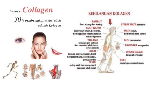 RISING STAR | Peluang Usaha Terbaru di Yogyakarta ... What's Not to Like About a Lichen: Parasite or Symbiotic ...