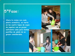 5ºFase: Ahora la crema con cada planta aromática, se vierte en las cuatro tapas de cajas de zapatos con un grosor suficiente como para formar pastillas de jabón de un grosor considerable. 