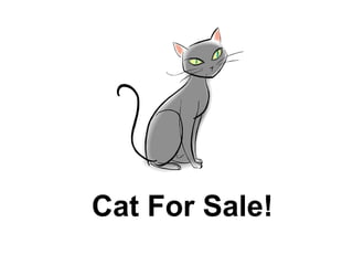Cat For Sale! 