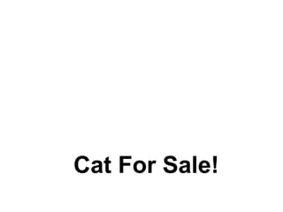 Cat For Sale! 