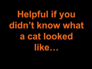 Helpful if you didn’t know what a cat looked like… 