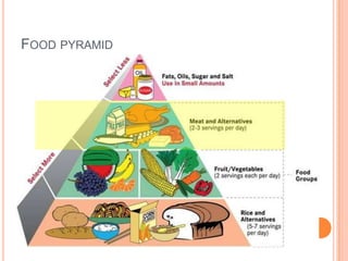 Biology Nutrients PBL