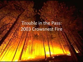 Trouble in the Pass:2003 Crowsnest Fire 