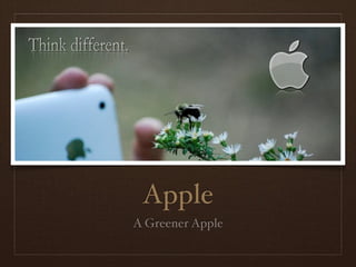 Apple
A Greener Apple
 