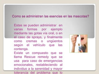 Como se administran las esencias en las mascotas?

 Estas se pueden administrar en
 varias formas por ejemplo
 mediante las gotas vía oral, o en
 el caso de sprays, y finalmente
 como cremas o ungüentos
 según el vehículo que las
 contenga.
 Existe un compuesto que se
 llama Rescue remedy que se
 usa para caso de emergencias
 emocionales, restableciendo al
 individuo a la serenidad y mayor
 tolerancia del problema que lo
 
