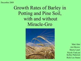 Growth Rates of Barley in  Potting and Pine Soil,  with and without Miracle-Gro  Matt Aber Arri Brown  Sherry Land  Nicole VanLear Kelley Patterson Ricki Lee Stautz December 2009 