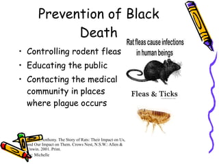 Prevention of Black Death Controlling rodent fleas Educating the public Contacting the medical community in places where plague occurs Barnett, Anthony. The Story of Rats: Their Impact on Us, and Our Impact on Them. Crows Nest, N.S.W.: Allen & Unwin. 2001. Print. By: Michelle 