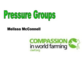 Pressure Groups Melissa McConnell 