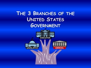 THE 3 BRANCHES OF THE
    UNITED STATES
     GOVERNMENT
 