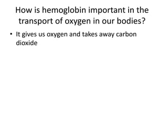 How is hemoglobin important in the transport of oxygen in our bodies?It gives us oxygen and takes away carbon dioxide