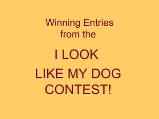 Winning Entries from the   I LOOK  LIKE MY DOG CONTEST! 