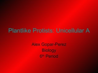 Plantlike Protists: Unicellular Algae Alex Gopar-Perez Biology 6 th  Period 