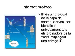 Internet protocol IP és un protocol de la capa de xarxes. Serveix per identificar unívocament tots els ordinadors de la xarxa mitjançant una adreça IP. 