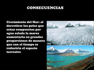 CONSECUENCIASCrecimiento del Mar: al derretirse los polos que estan compuestos por agua salada la marea aumentaria en grandes proporciones de manera que con el tiempo se reduciria el espacio terrestre.