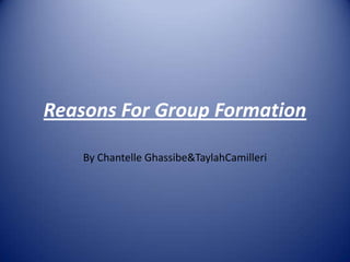 Reasons For Group Formation By Chantelle Ghassibe & TaylahCamilleri 
