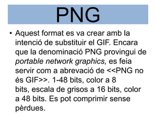 PNGAquestformat es va crear amb la intenció de substituir el GIF. Encara que la denominació PNG provingui de portable networkgraphics, es feia servir com a abrevació de <<PNG no és GIF>>. 1-48 bits, color a 8 bits, escala de grisos a 16 bits, color a 48 bits. Es pot comprimir sensepèrdues.