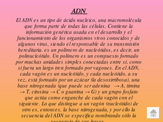 ADN  El ADN es un tipo de ácido nucleico, una macromolécula que forma parte de todas las células. Contiene la información genética usada en el desarrollo y el funcionamiento de los organismos vivos conocidos y de algunos virus, siendo el responsable de su transmisión hereditaria. es un polímero de nucleótidos, es decir, un polinucleótido. Un polímero es un compuesto formado por muchas unidades simples conectadas entre sí, como si fuera un largo  tren  formado por  vagones . En el ADN, cada  vagón  es un nucleótido, y cada nucleótido, a su vez, está formado por un azúcar (la desoxirribosa), una base nitrogenada (que puede ser adenina  ->  A , timina ->  T , citosina ->  C  o guanina ->  G ) y un grupo fosfato que actúa como enganche de cada  vagón  con el siguiente. Lo que distingue a un  vagón  (nucleótido) de otro es, entonces, la base nitrogenada, y por ello la secuencia del ADN se especifica nombrando sólo la secuencia de sus bases.   