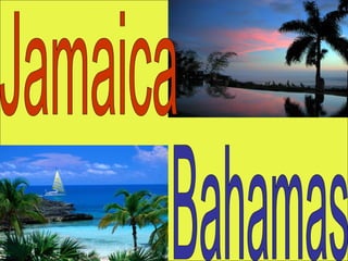 Jamaica  Bahamas 