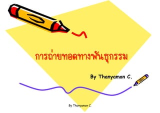 ‹
                  By Thanyamon C.




    By Thanyamon C.
 