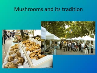 Mushrooms and its tradition 