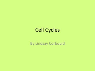 Cell Cycles By Lindsay Corbould  