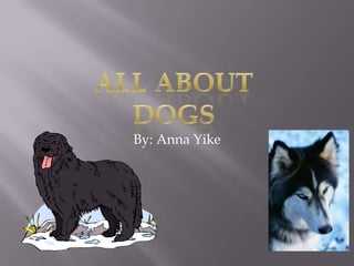 By: Anna Yike All About Dogs 