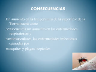 CONSECUENCIAS
Un aumento en la temperatura de la superficie de la
Tierra traerá como
consecuencia un aumento en las enfermedades
respiratorias y
cardiovasculares, las enfermedades infecciosas
causadas por
mosquitos y plagas tropicales
 