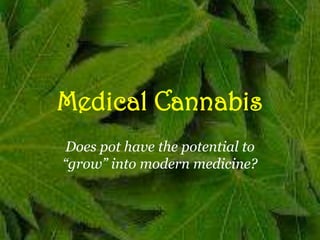 Medical Cannabis Does pot have the potential to “grow” into modern medicine? 