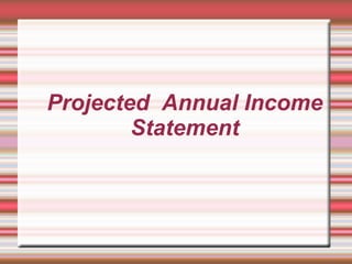 Projected  Annual Income Statement 