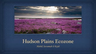Hudson Plains Ecozone
     Mahdi, Savannah & Kejdi
 