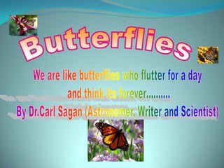 Butterflies We are like butterflies who flutter for a day  and think its forever………. By Dr.Carl Sagan (Astronomer, Writer and Scientist) 