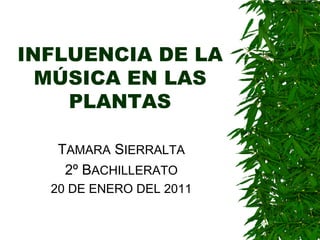 INFLUENCIA DE LA
  MÚSICA EN LAS
    PLANTAS

   TAMARA SIERRALTA
    2º BACHILLERATO
  20 DE ENERO DEL 2011
 