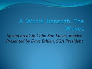 A World Beneath The Waves Spring break in Cobo San Lucas, mexicoPresented by Dave Ethlen, SGA President 
