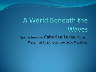 A World Beneath the Waves Spring break in Cabo San Lucas, Mexico Presented by Dave Ethlen, SGA President 