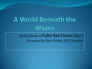 A World Beneath the Waves Spring Break in Cabo San Lucas, Mexico  Presented by Dave Ethlen, SGC President 